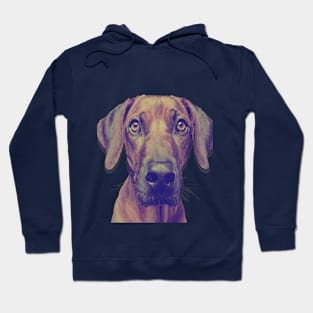 Dog T-shirt Hoodie